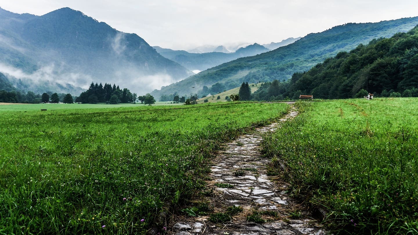 Rough footpath curving through tall grass and misty hills.